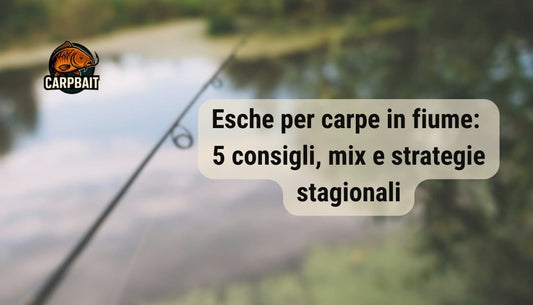 fiume come sfondo con canna da pesca. Logo carpbait in alto a sinistra e scritta del titolo dell'articolo in primo piano ovvero: Esche per carpe in fiume: 5 consigli, mix e strategie stagionali