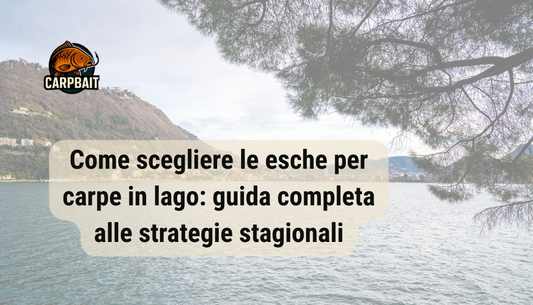 copertina articolo esche per carpe in lago come scheglierle e guida completa alle strategie stagionali. Sullo sfondo un lago con trasparenza. In alto a sinistra logo carpbait