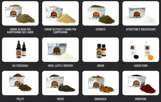 migliori esche per carpe