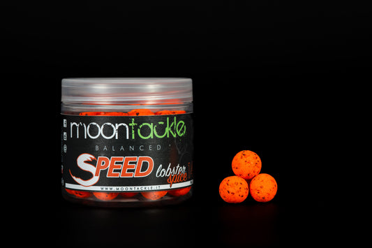BALANCED LINEA SPEED LOBSTER SPICE mm12