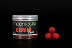 GEMINI mm16